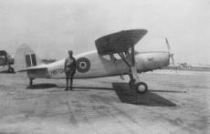 RAF Fairchild Argus II in Ägypten